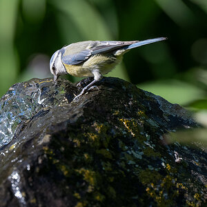 DSC_7768.jpg