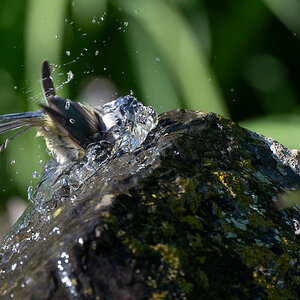 DSC_7847.jpg