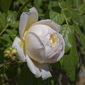 _Z508311_DxOQAxl.jpg