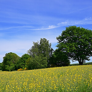 Z8A_0740t5l10fks40p1.jpg