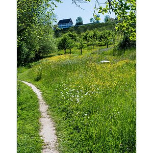 Compressed_0837.jpg