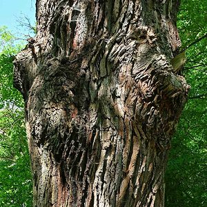 DSC_3004_bearbeitet-2.jpg