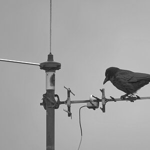_DSC0636_DxOPAxlSW.jpg