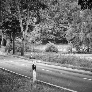 L 270 BW.jpg