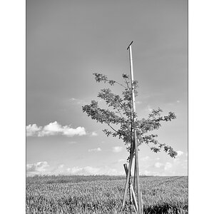 LugnezDSC_2116.jpg