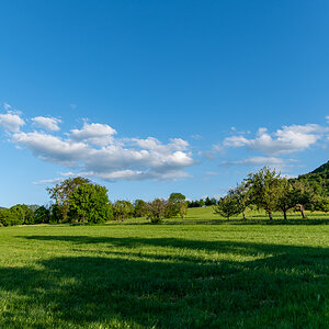 DSC_6048.jpg