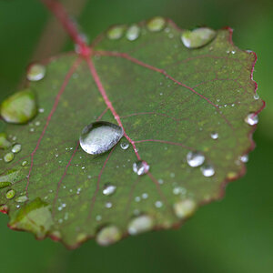 Endlich Regen.jpg