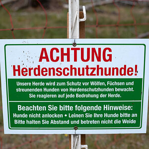 Herdenschutz.jpg