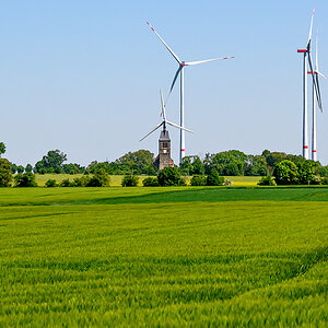 OFZ_00566.jpg