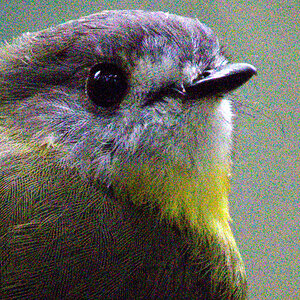 OM-1_cropped_org.jpg