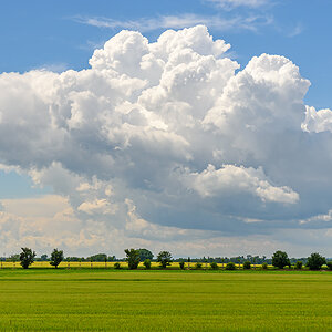 OF2_74174.jpg