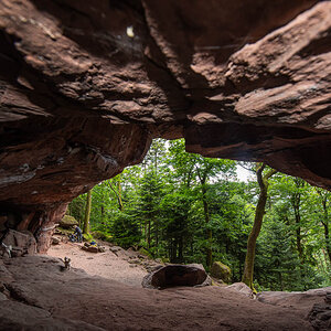20140424-NIK_8809.jpg