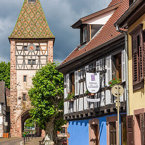 20140424-NIK_8836.jpg