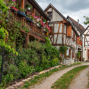 20140425-NIK_8862.jpg