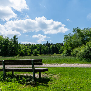 DSC_6186.jpg