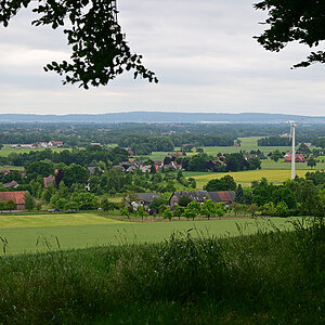Z8A_0772t5l5s40p1.jpg