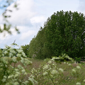 Z8A_0779t1l5fks40p1.jpg