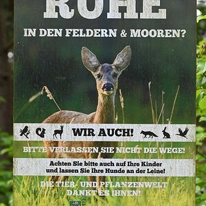 Ruheschild.jpg