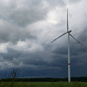 Z8A_0786t1l3fks40p1.jpg