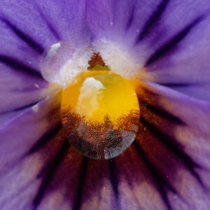 N6099825nikon.jpg