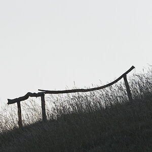N6119857nikon.jpg