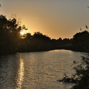 DSC_3944.JPG