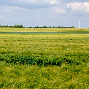 OFZ_00900.jpg