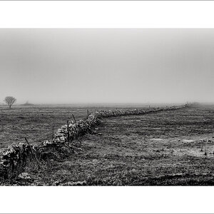 20250413-L1005962-Bearbeitet.JPG