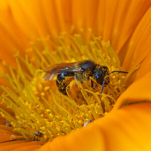 N6160727nikon.jpg
