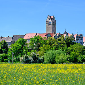 OFZ_00518.jpg