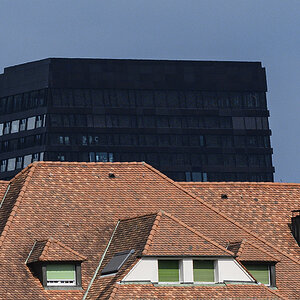 Fenster.jpg