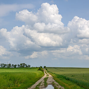 OFZ_00830.jpg