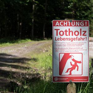 250619-004.jpg