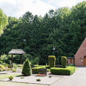 250619-007.jpg