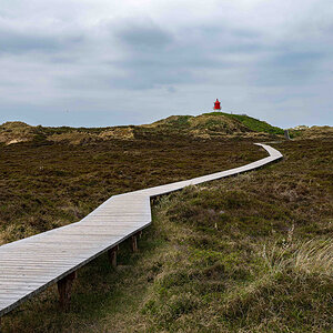 ZHG_3347.jpg