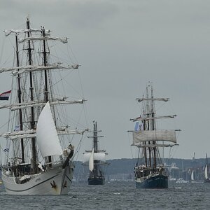D75_6718a.JPG