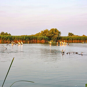 2025-06-12 32 Danube Delta.jpg