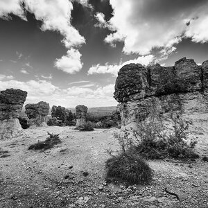DSC_3218-Bearbeitet-sw.jpg