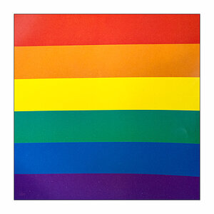 175/365 Cher – Pride © 2025 Sabine Lommatzsch