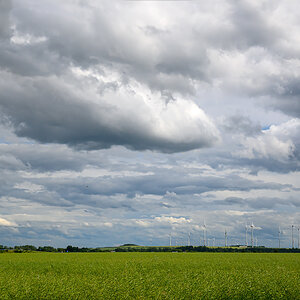 OFZ_01062.jpg