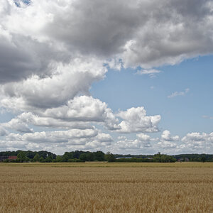 _7030098_DxOPAxl.jpg