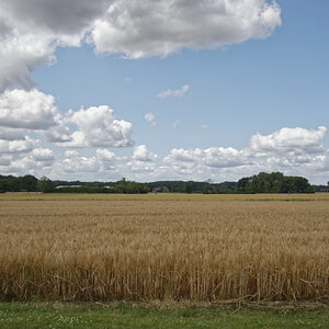 _7030093_DxOPAxl.jpg