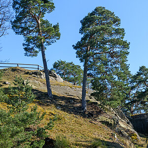 OF2_73601.jpg