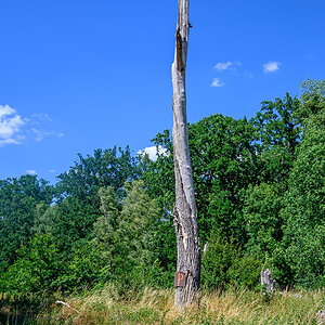 OFZ_01593.jpg