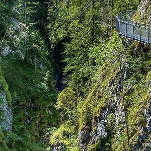 20250624-NZ7_3972-Pano.jpg