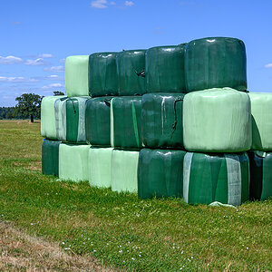OFZ_01575.jpg