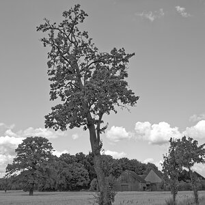 _7030100_DxOPASWxl.jpg