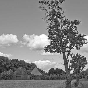 _7030103_DxOPASWxl_1.jpg
