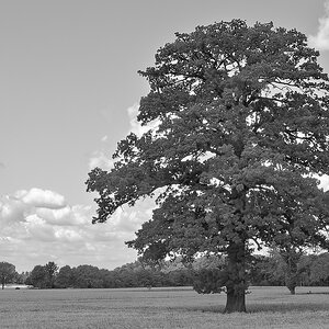 _7030106_DxOAASWxl_1.jpg