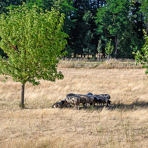 OFZ_01630.jpg